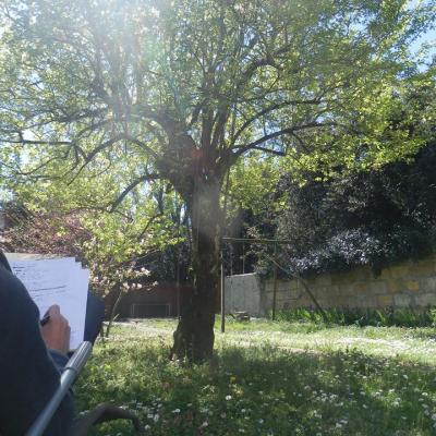 2015 05 écriture au jardin