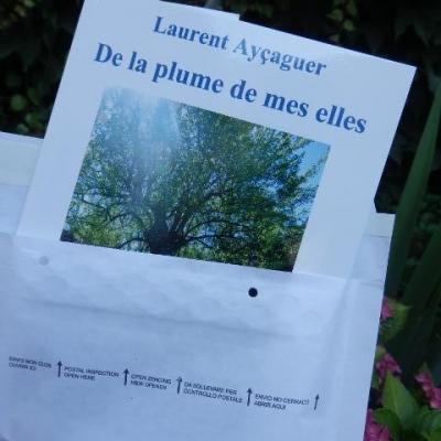 2015 06 Réception Plumes