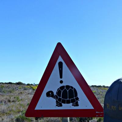 2017 07 Afrique Du Sud Attention Tortues