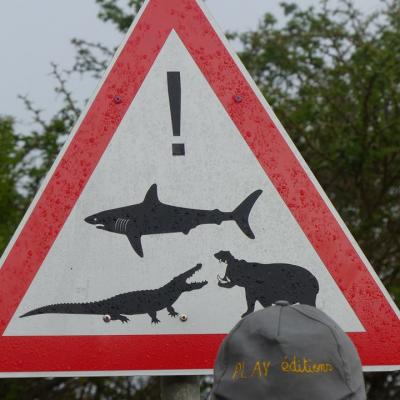 2017 07 Afrique du Sud