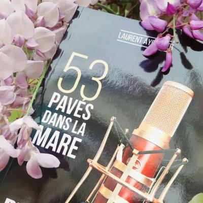 2020 04 53 pavés dans la glycine