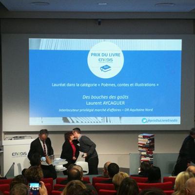 2017 Remise Prix du Livre Enedis