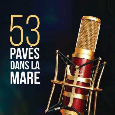 53 pavés dans la mare