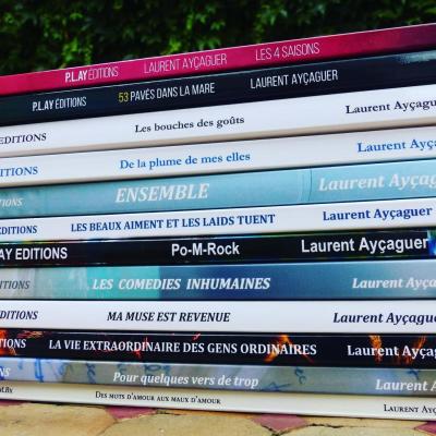 L'intégrale de mon oeuvre (13 livres)