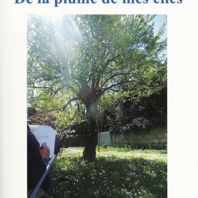 DE LA PLUME DE MES ELLES